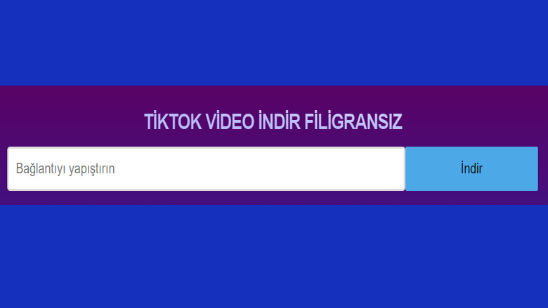 tiktok video indir ssstiktok